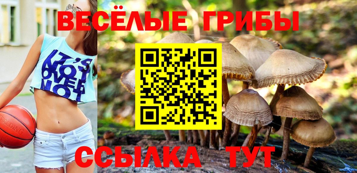 Псилоцибиновые грибы ЛСД Люберцы