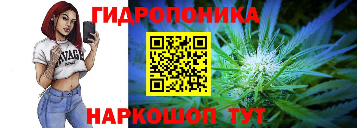 Конопля AK-47  Бошки Шишки OG Kush  Люберцы  Вход с VPN  Бошки марихуана сатива 